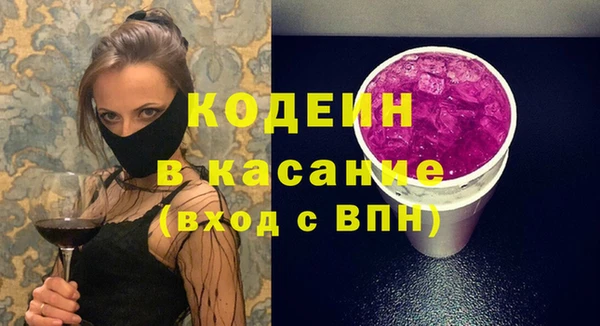 ПСИЛОЦИБИНОВЫЕ ГРИБЫ Вяземский